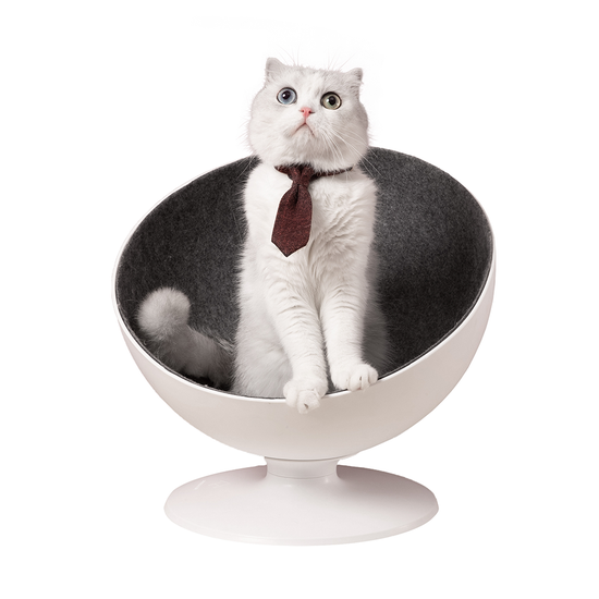 Cuccia Gatto Boss - Furrytail - Desideri e Follie