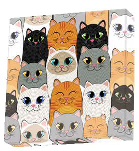 Cat Clan Box - DiamondDotz