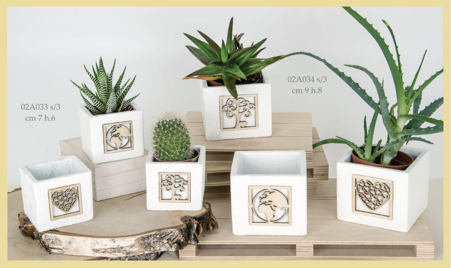 Bomboniere Collezione White - ETM