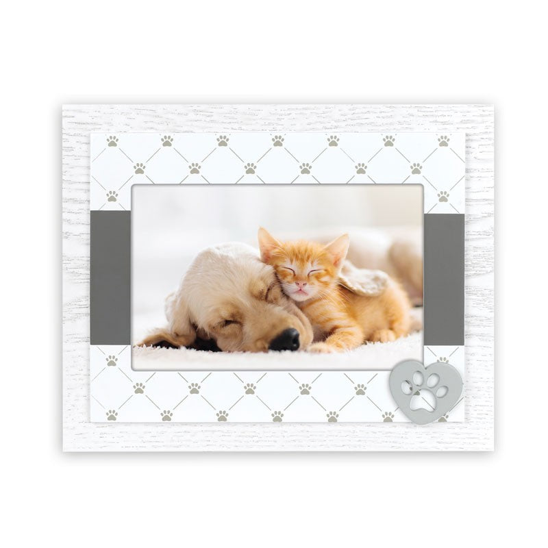Cornice Paco Amici a 4 Zampe 10x15