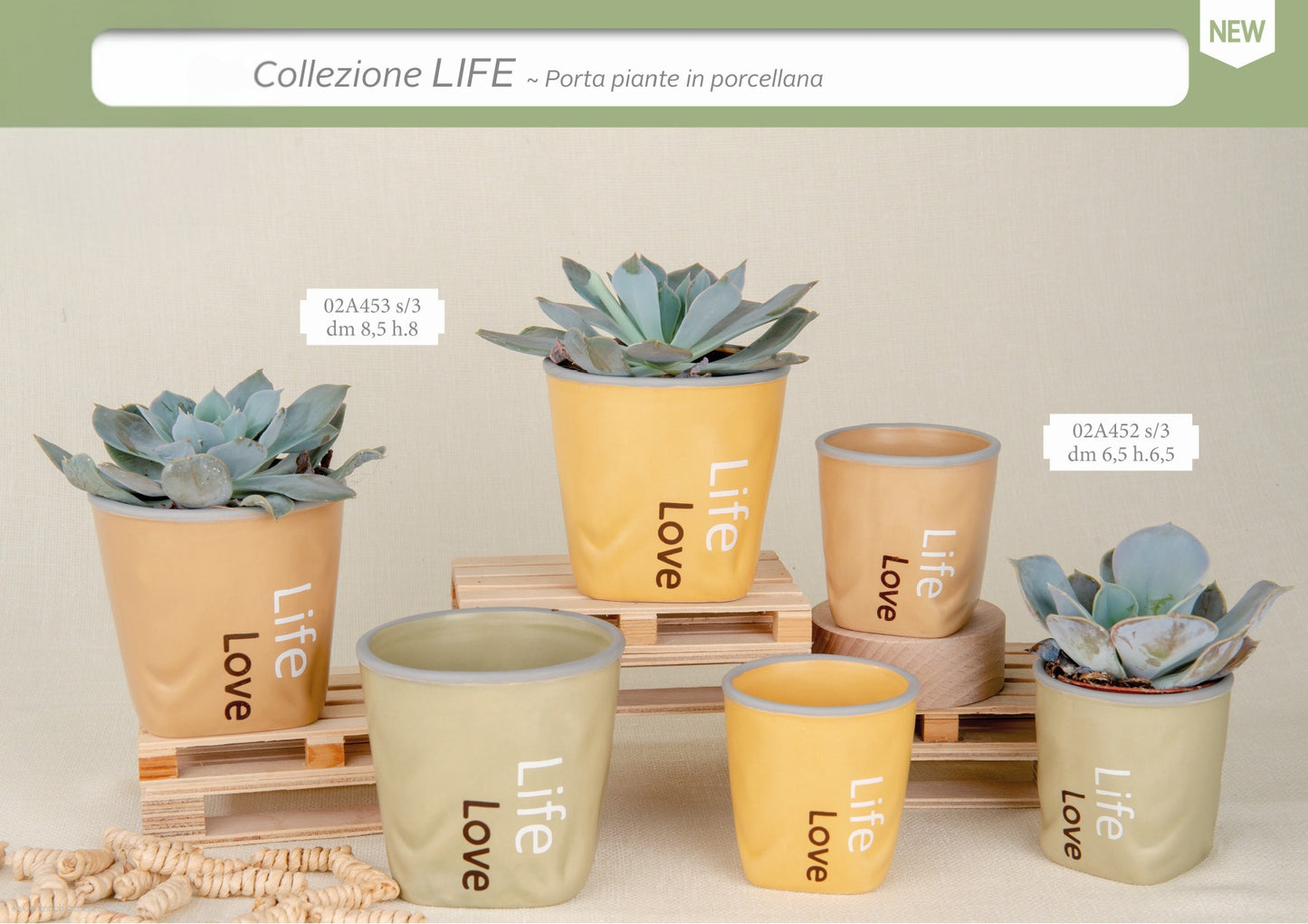 Collezione Life 2026