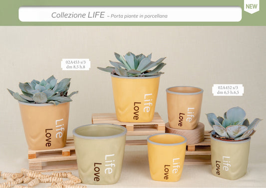 Collezione Life 2026