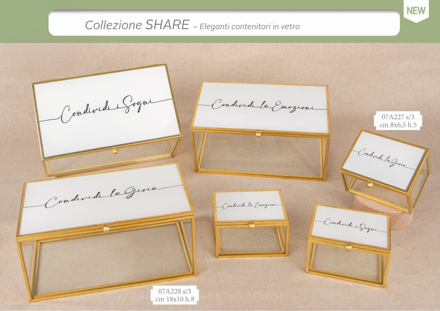 Collezione Share 2026