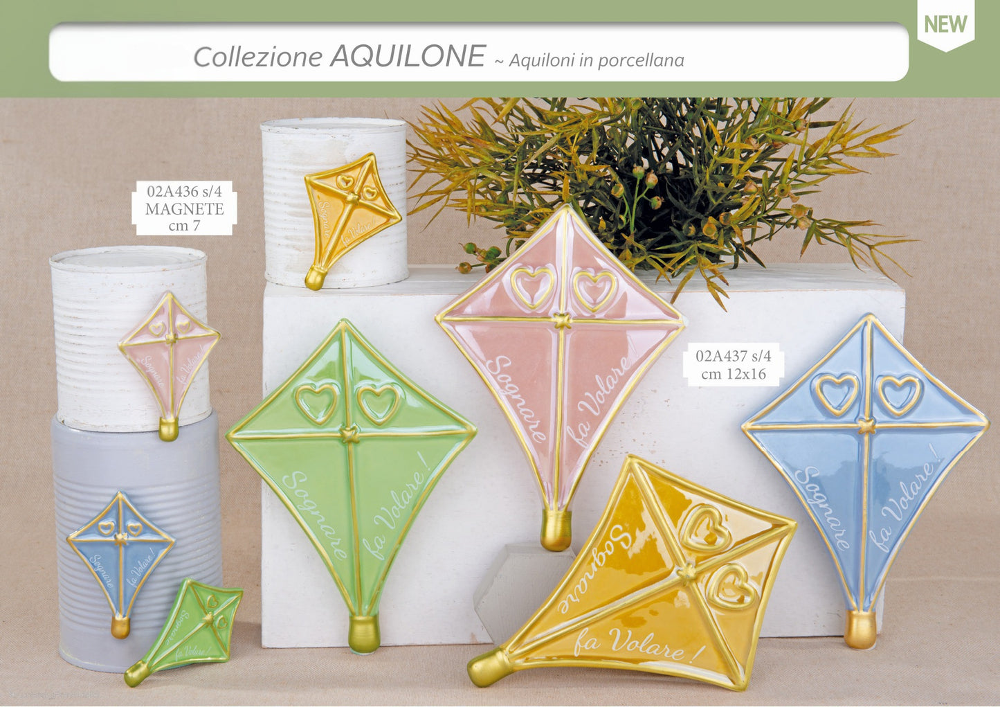 Collezione Aquilone 2026