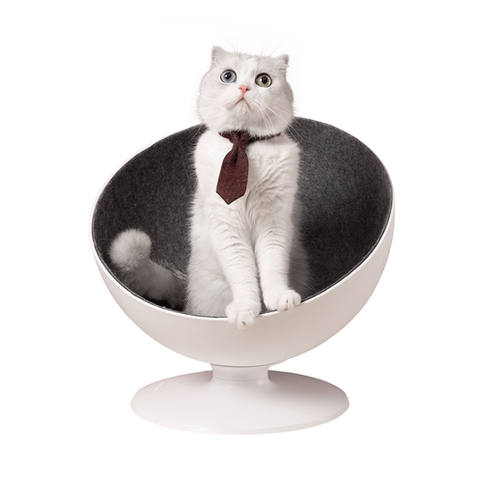 Cuccia Gatto Boss - Furrytail - Desideri e Follie