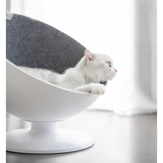 Cuccia Gatto Boss - Furrytail - Desideri e Follie