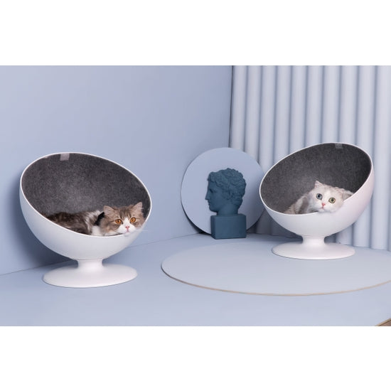Cuccia Gatto Boss - Furrytail - Desideri e Follie